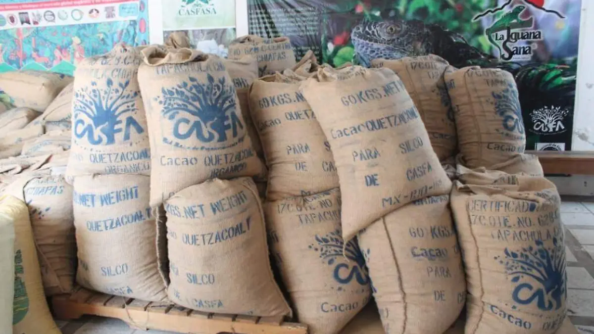 Exportacion de cacaho costales