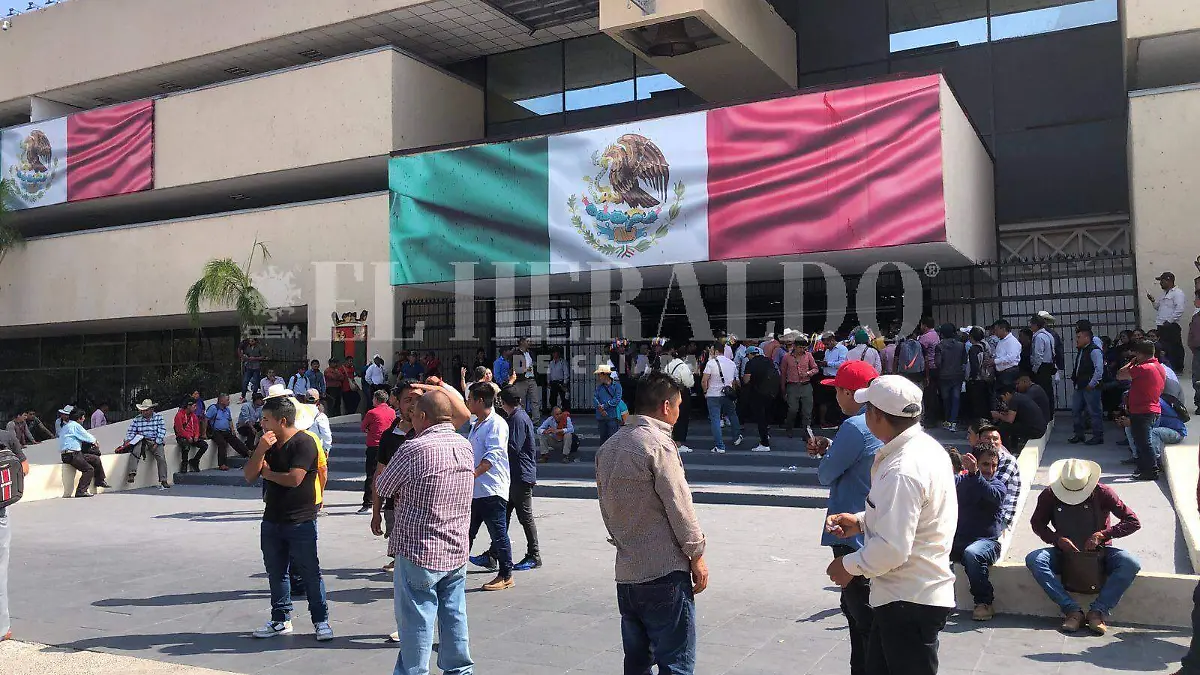 manifestacion de mitontic (1)