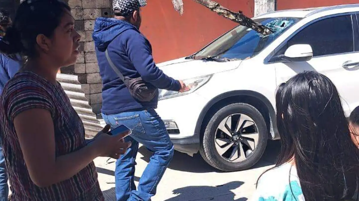 Palo cae sobre vehículo