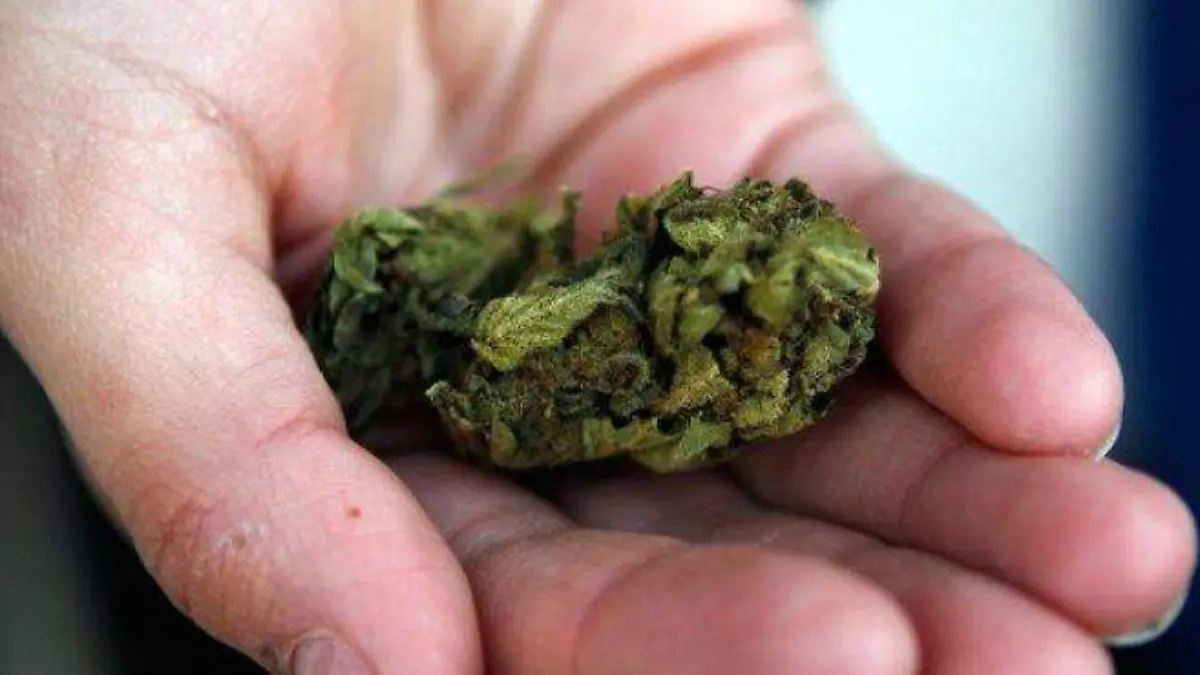 marihuana, greña,