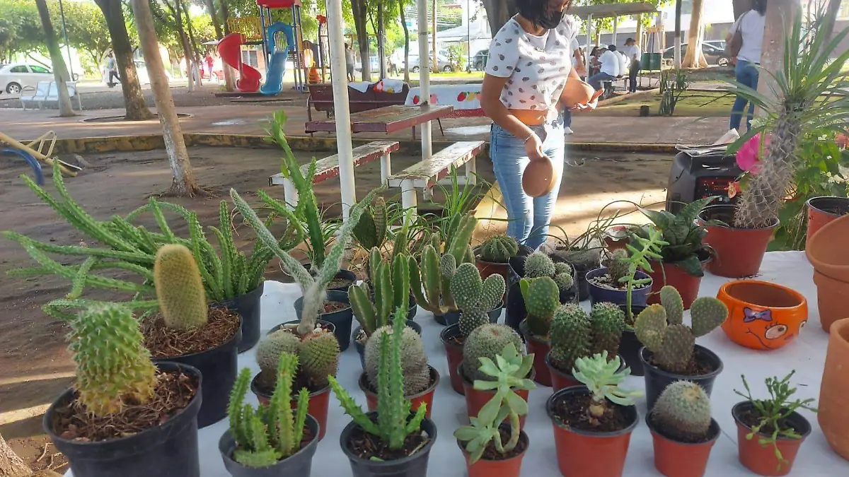 Tianguis