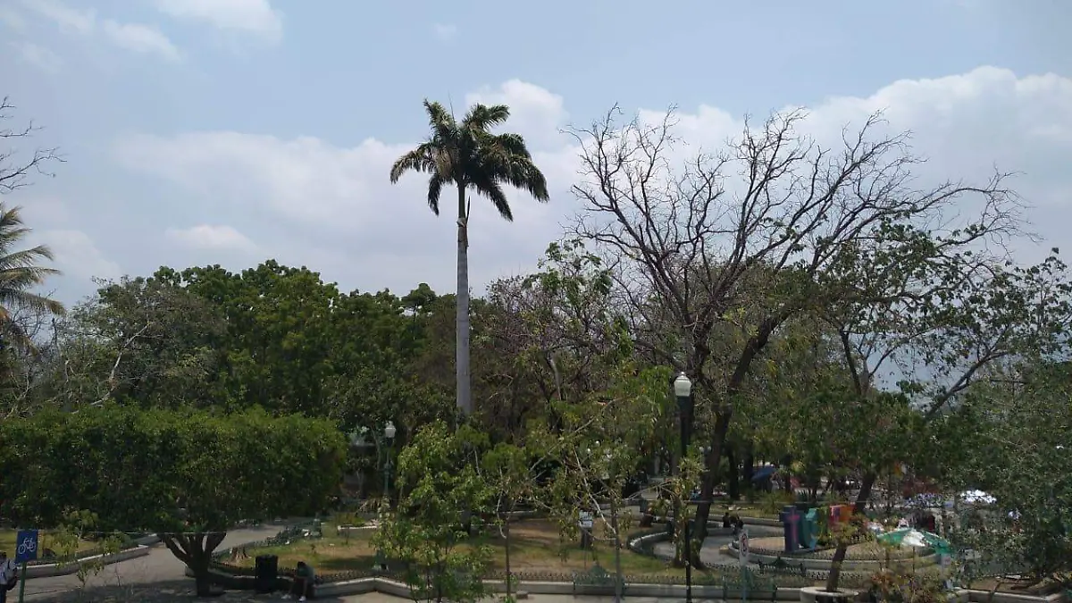 clima