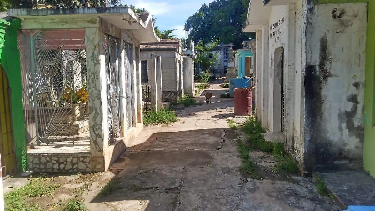 pantones municipales en tapachula 