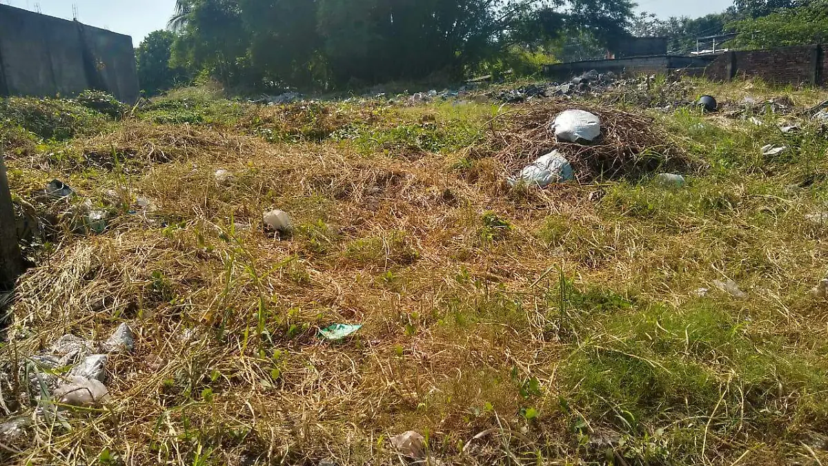 terreno
