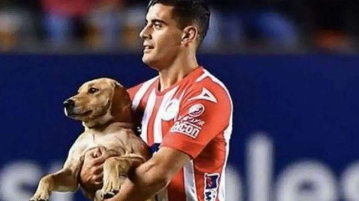 tunita ATLETICO