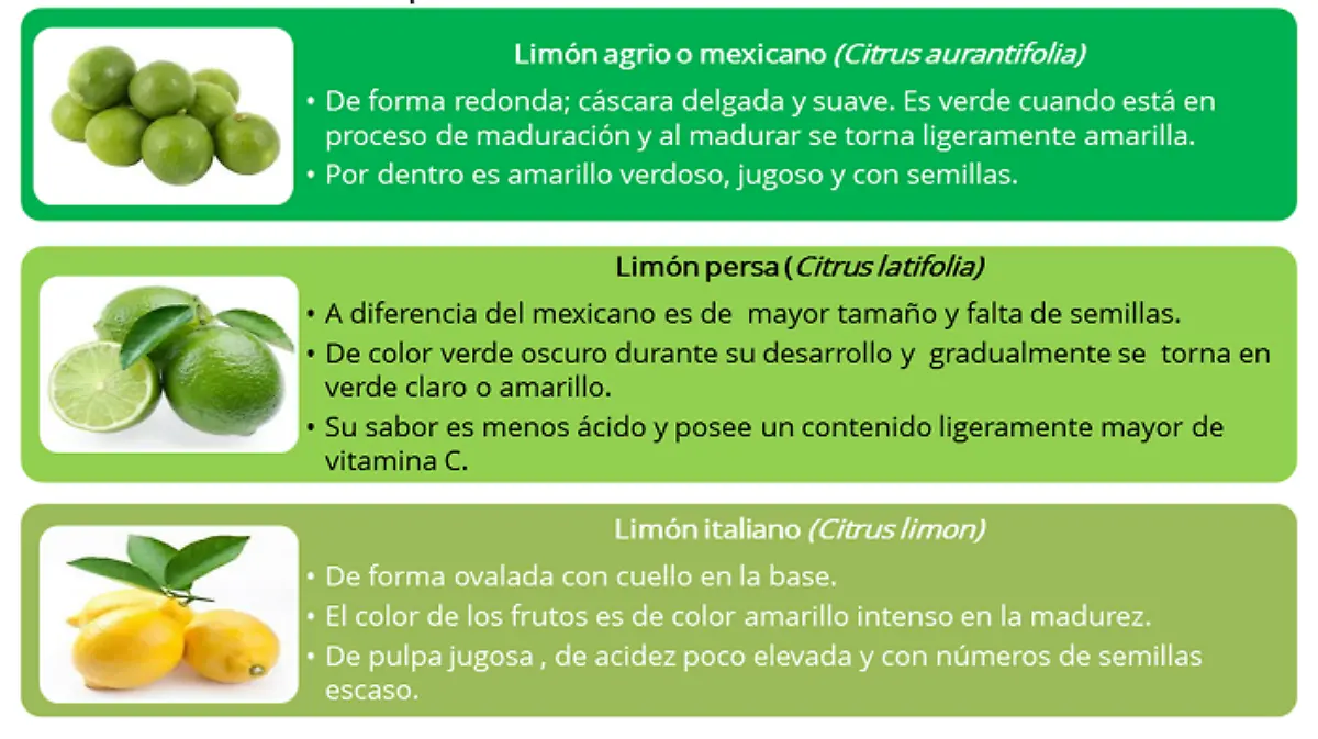 limón
