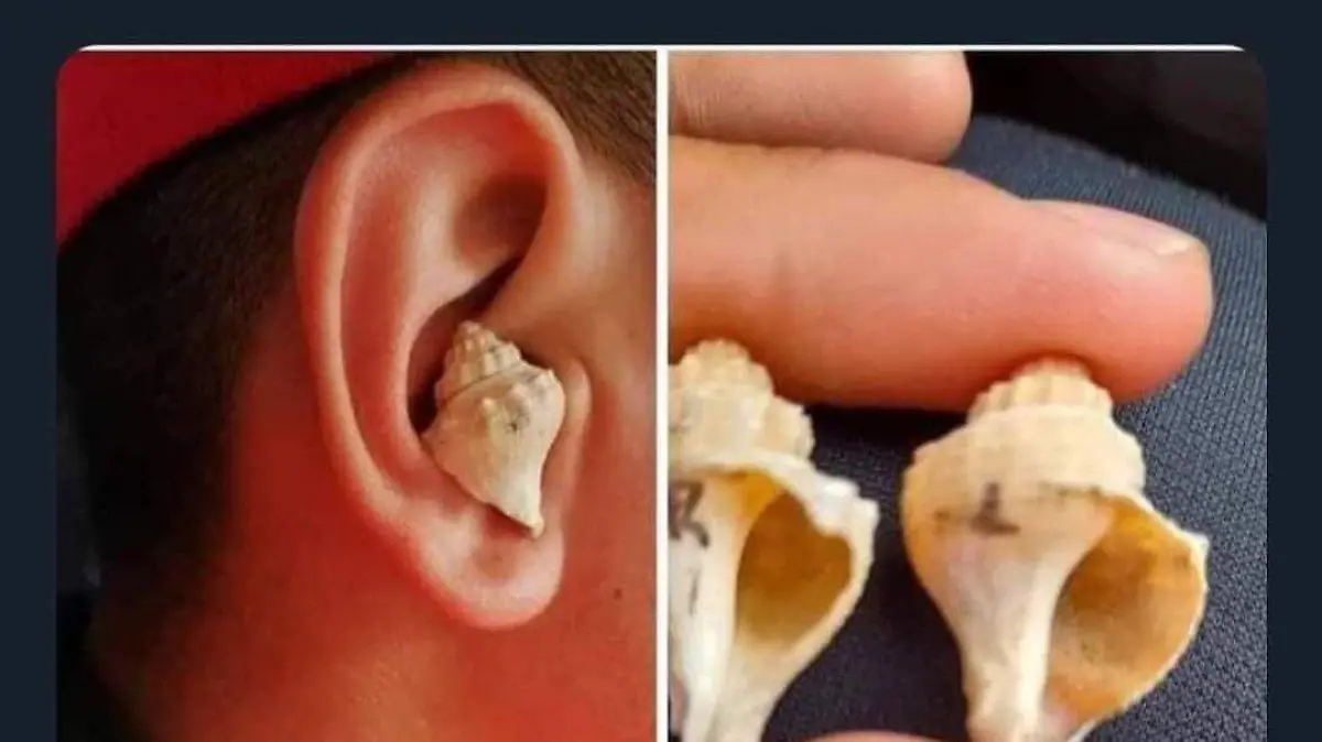 Memes Tonalá3