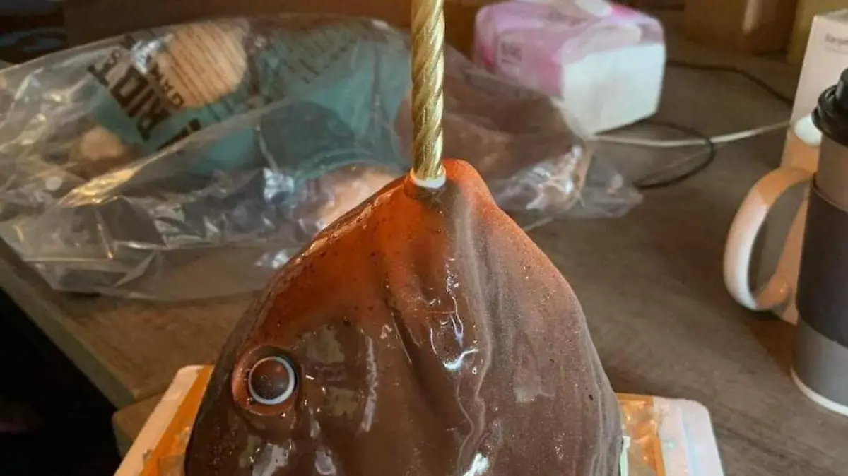 Memes Tonalá9