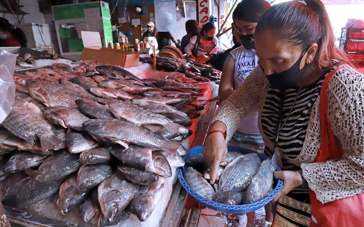 cuartoscuro_808286_digital