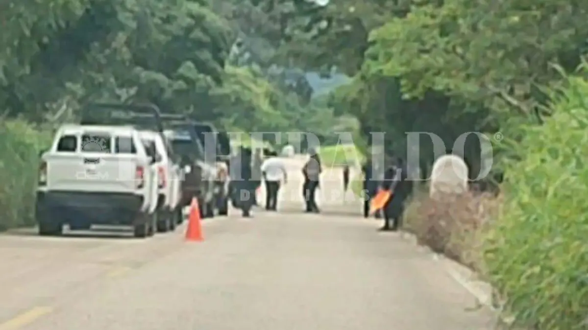 WhatsApp Image 2023-09-17 at 09.11.06