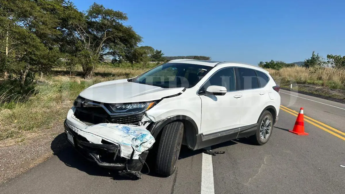 Choque Coita-Arriaga