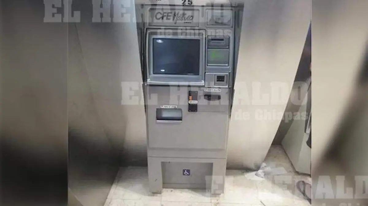 WhatsApp Image 2019-06-10 at 09.21.30 (1)