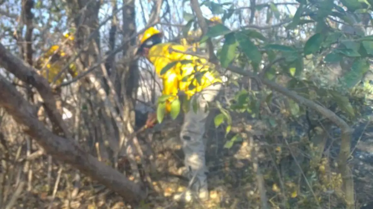 Incendios Chiapas (2)