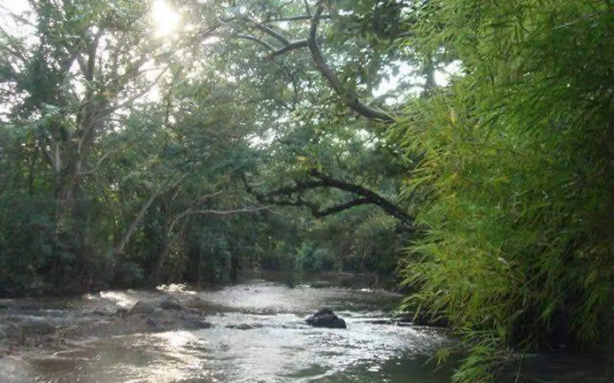 WhatsApp Image 2022-08-25 at 4.24.31 PM