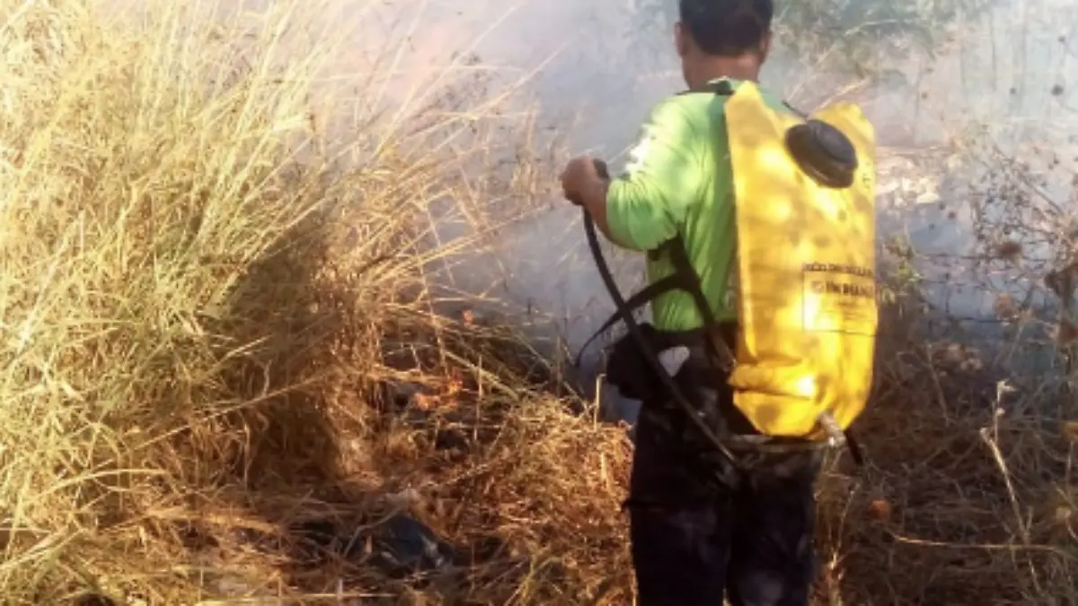 Captura de pantalla 2018-12-14 a la(s) 17.57.04