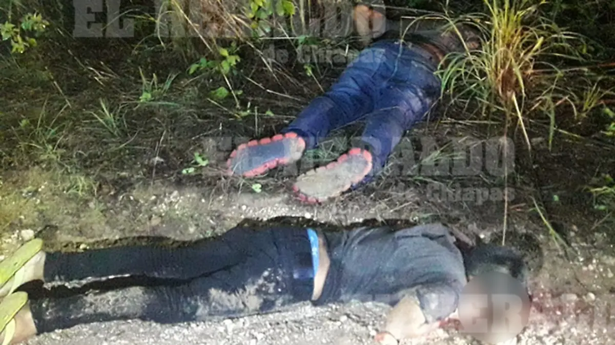 Image 2019-06-10 at 10.31.10