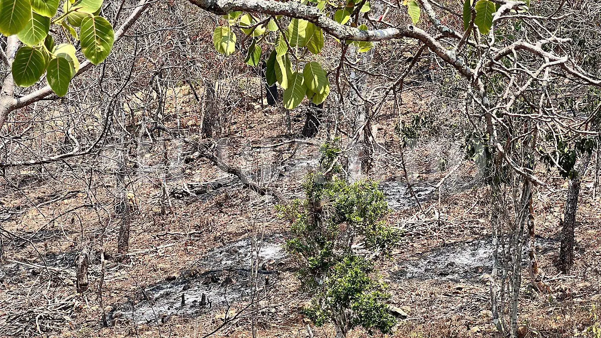 Protección Civil (4)