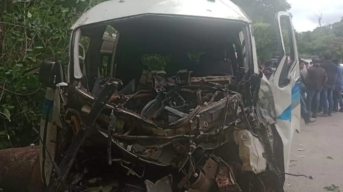 Árbol cae sobre transporte colectivo en Palenque