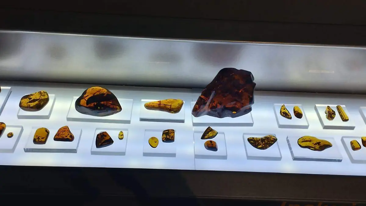 Ámbar en San Cristóbal4