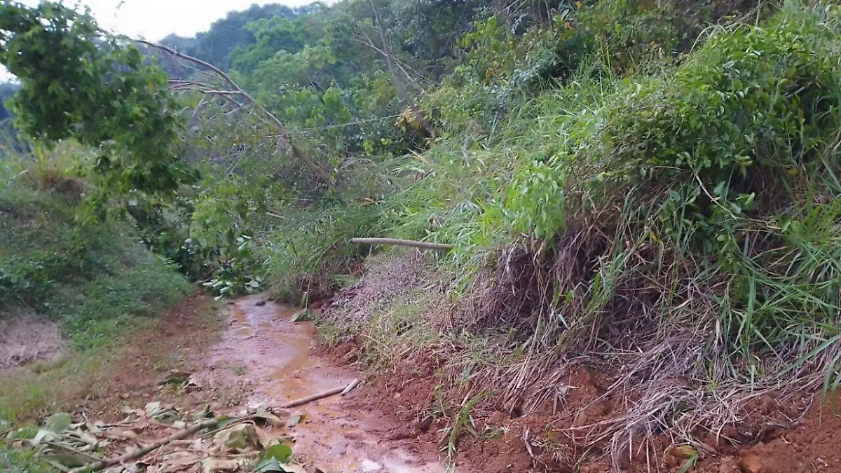 tecpatán