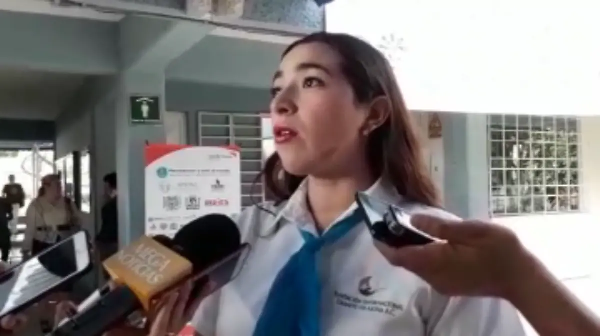 Captura de pantalla 2019-06-02 a la(s) 13.11.25