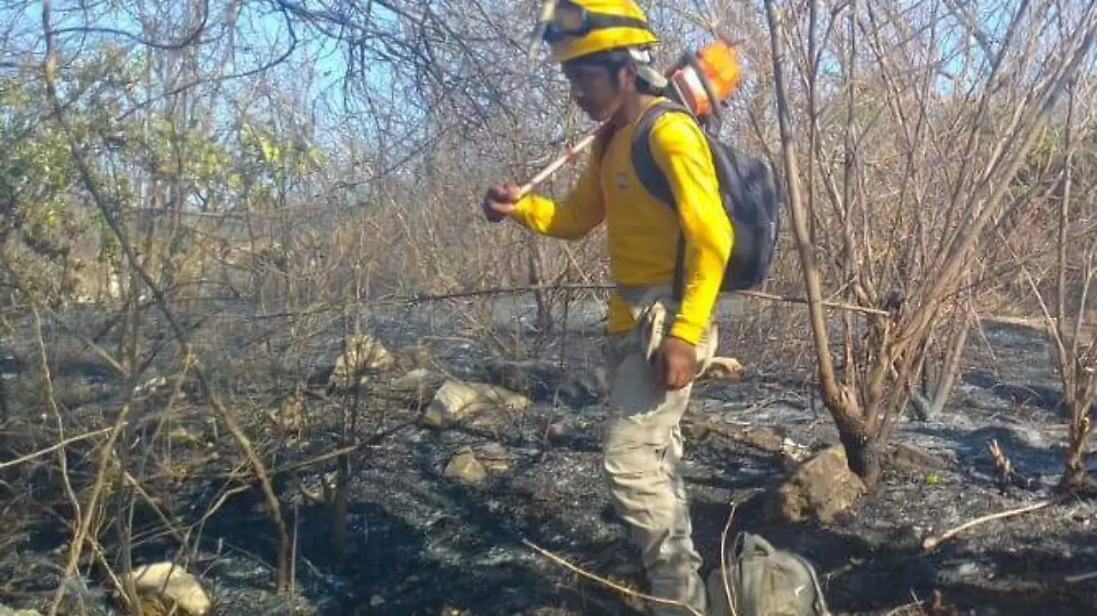 Incendios Chiapas