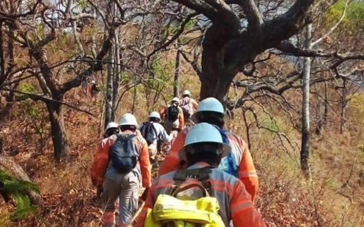 Incendios (1)