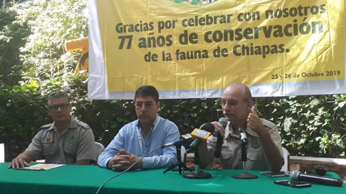 Captura de pantalla 2019-10-18 a la(s) 11.59.46