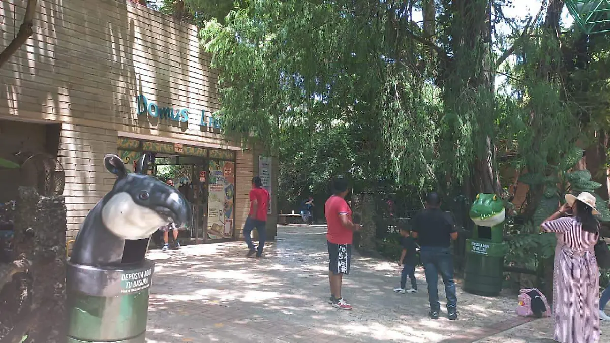 Aumenta visitantes a Zoomat