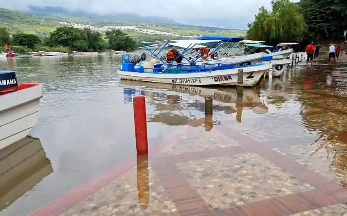 WhatsApp Image 2022-06-02 at 6.38.33 PM