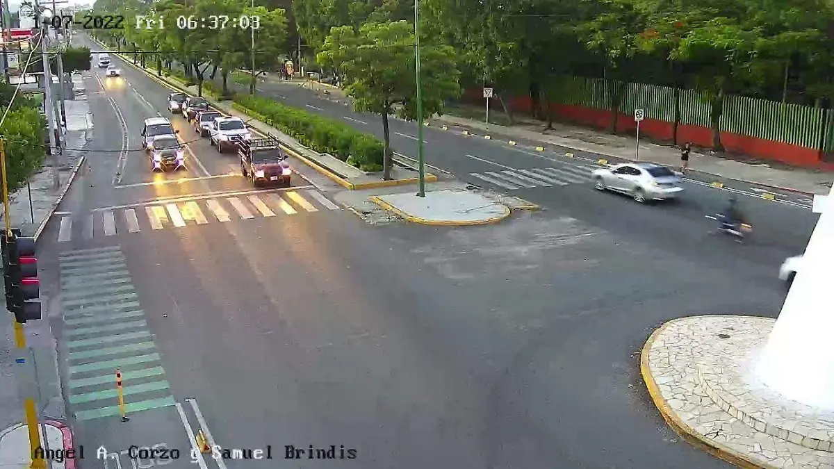 Reporte víal