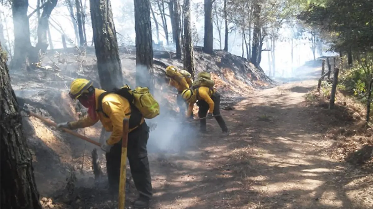 Captura de pantalla 2019-05-10 a la(s) 12.26.44