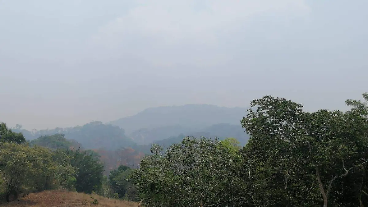 Image 2019-05-12 at 14.30.59