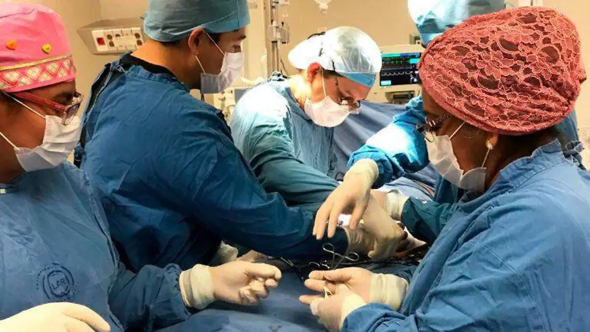 donacion de organos 1