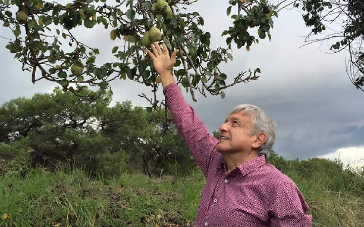 AMLO palenque