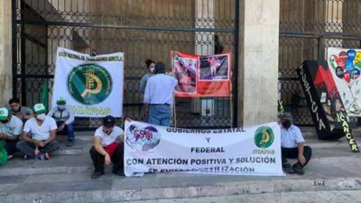 planton por el guerrero Zúlu