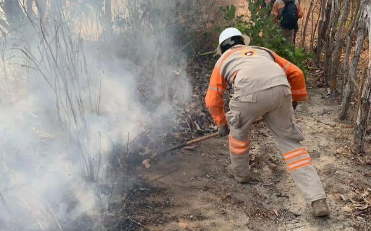 Incendios (2)