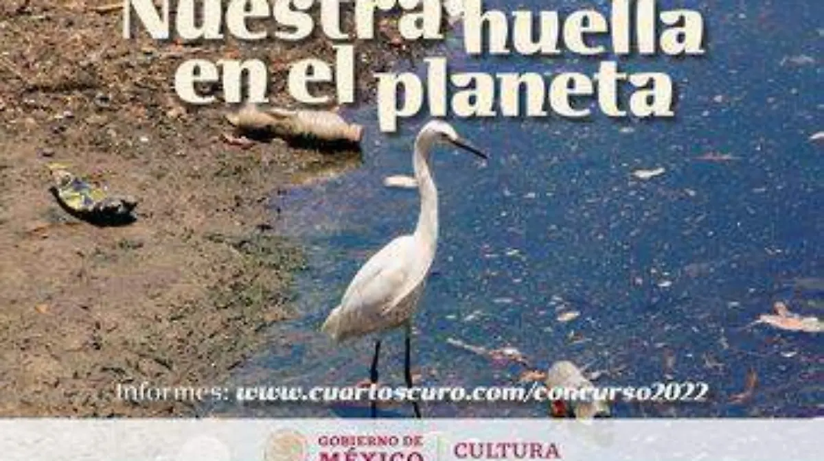 concurso de foto