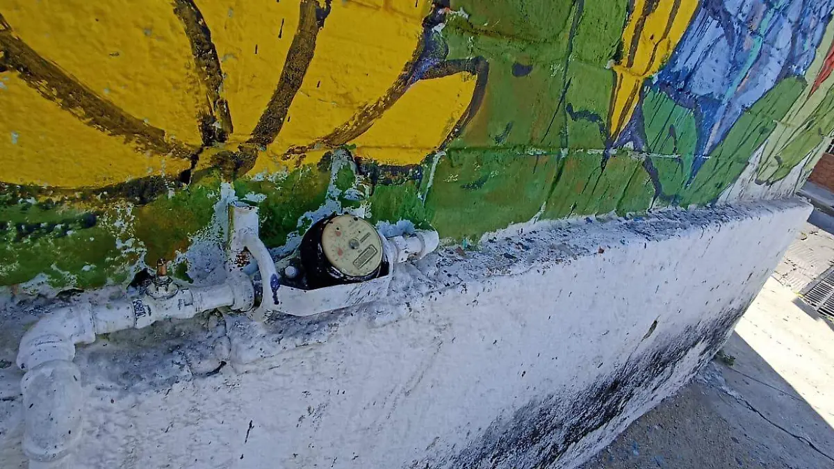 WhatsApp Image 2021-11-24 at 3.43.54 PM