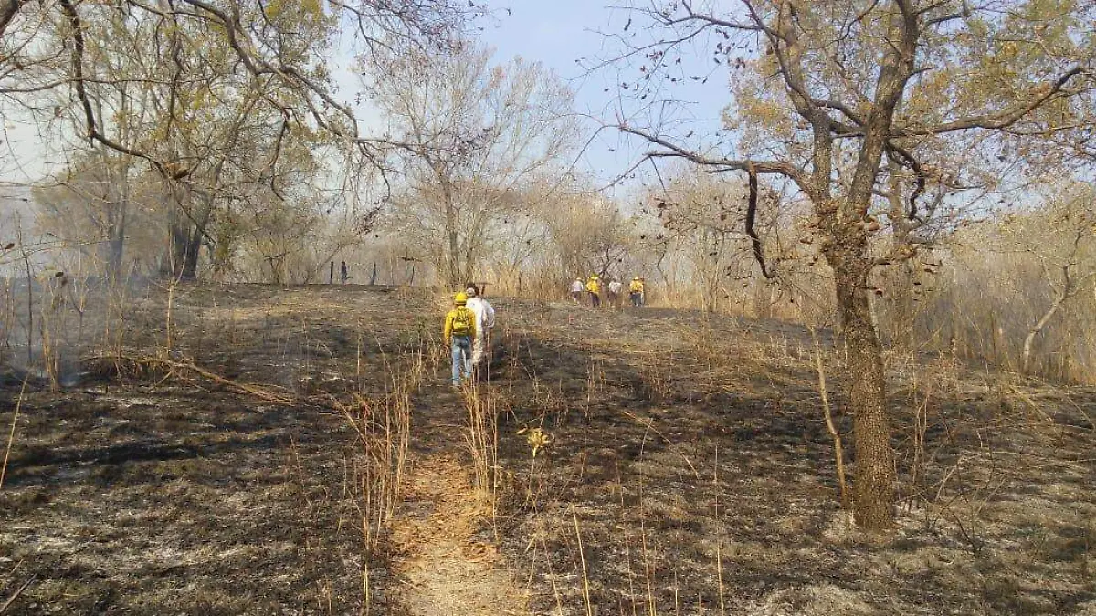 paraje5