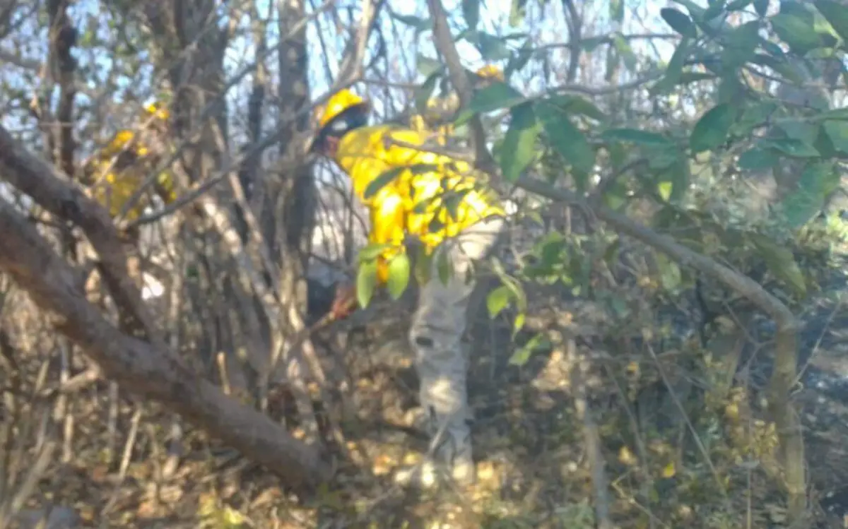 Protección Civil (1)