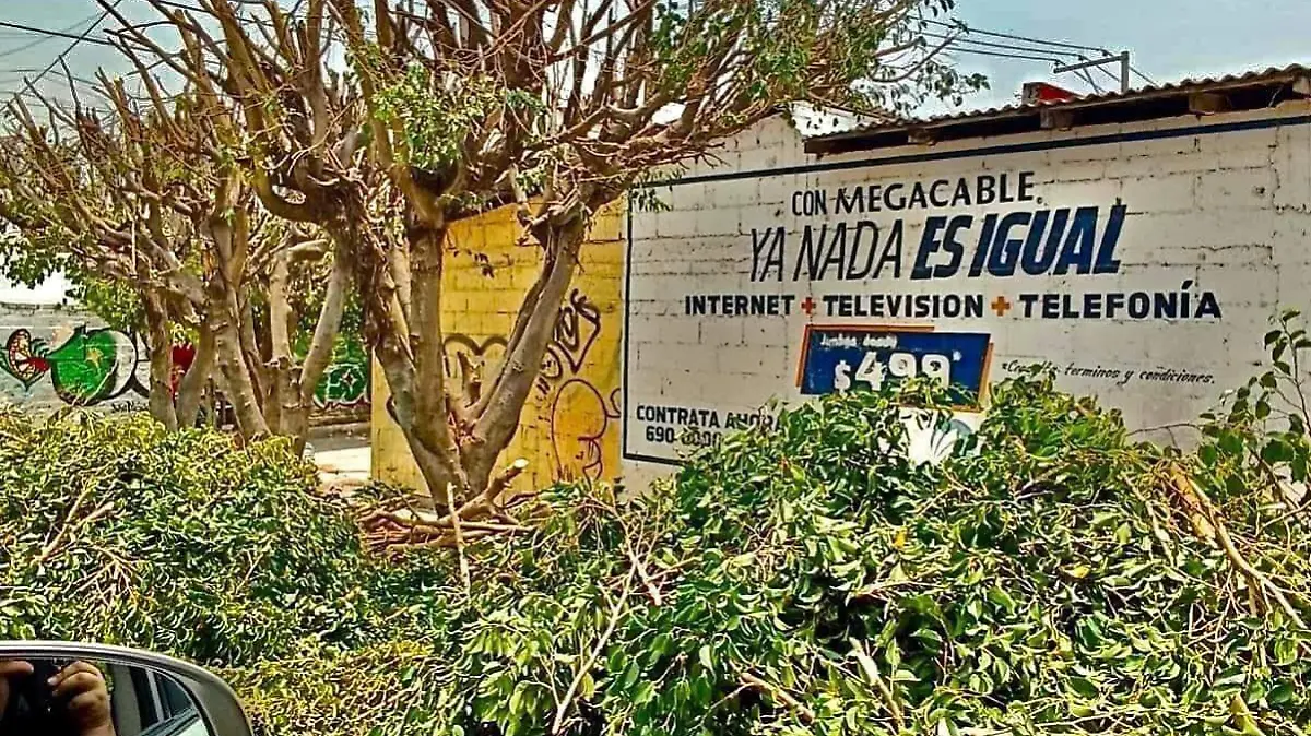 Ecocidio