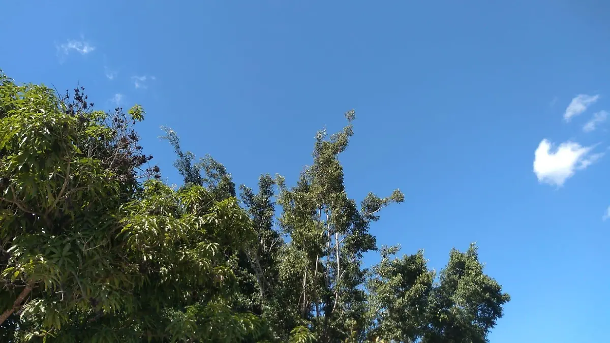 Clima
