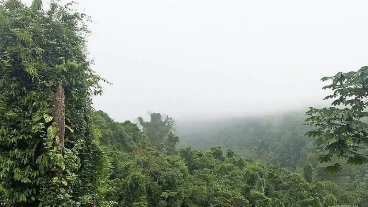 Chiapas3
