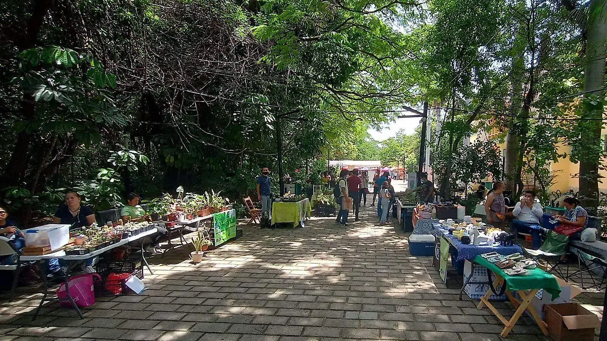 Convivencia Infantil Tuxtla Gutiérrez