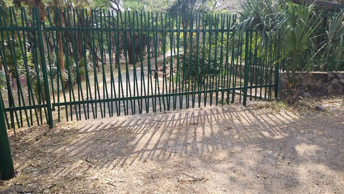 Árboles4