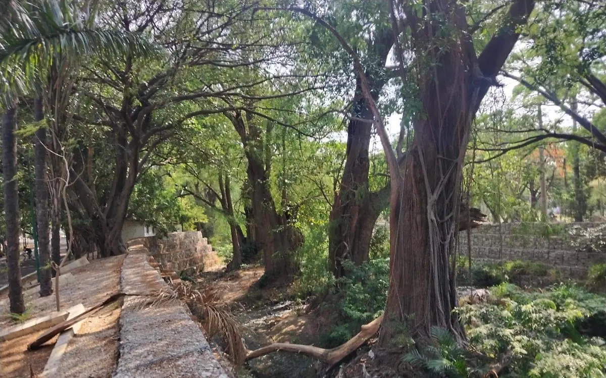 Árboles11