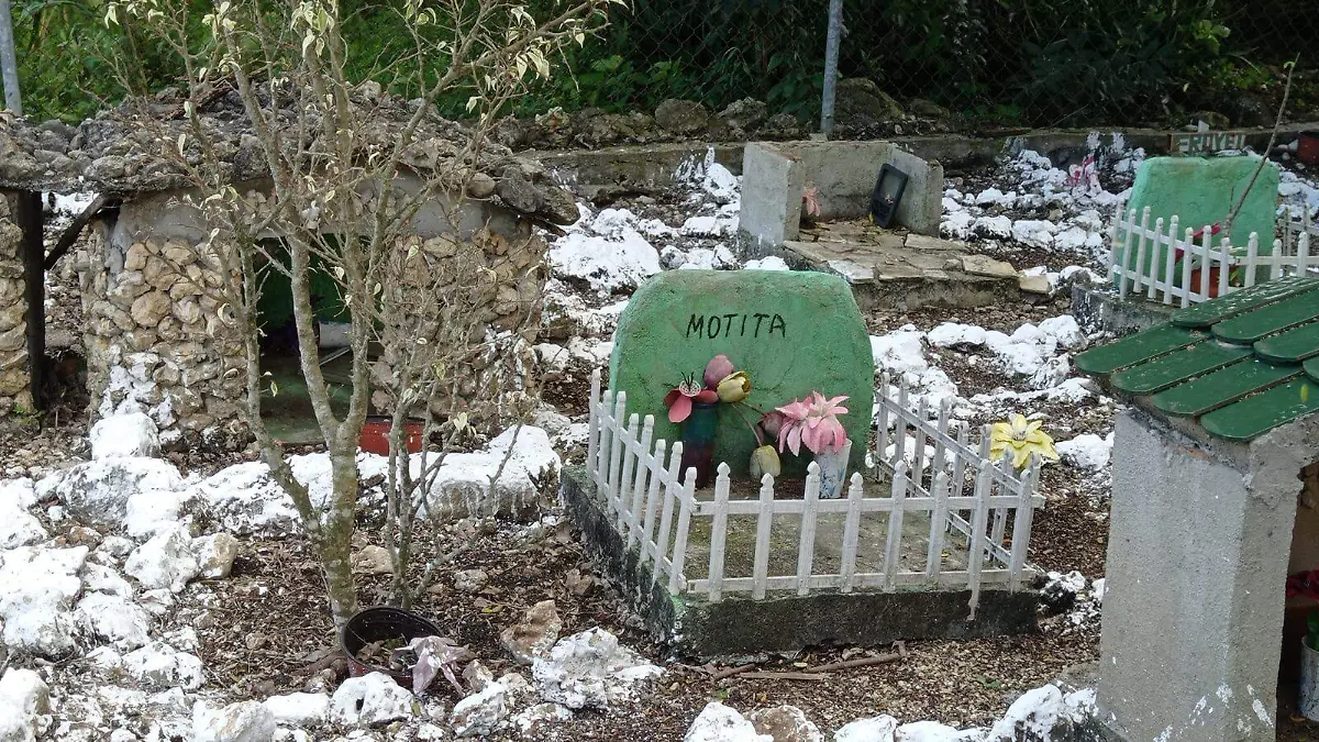 panteón para mascotas 2