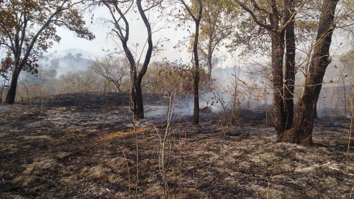 paraje3