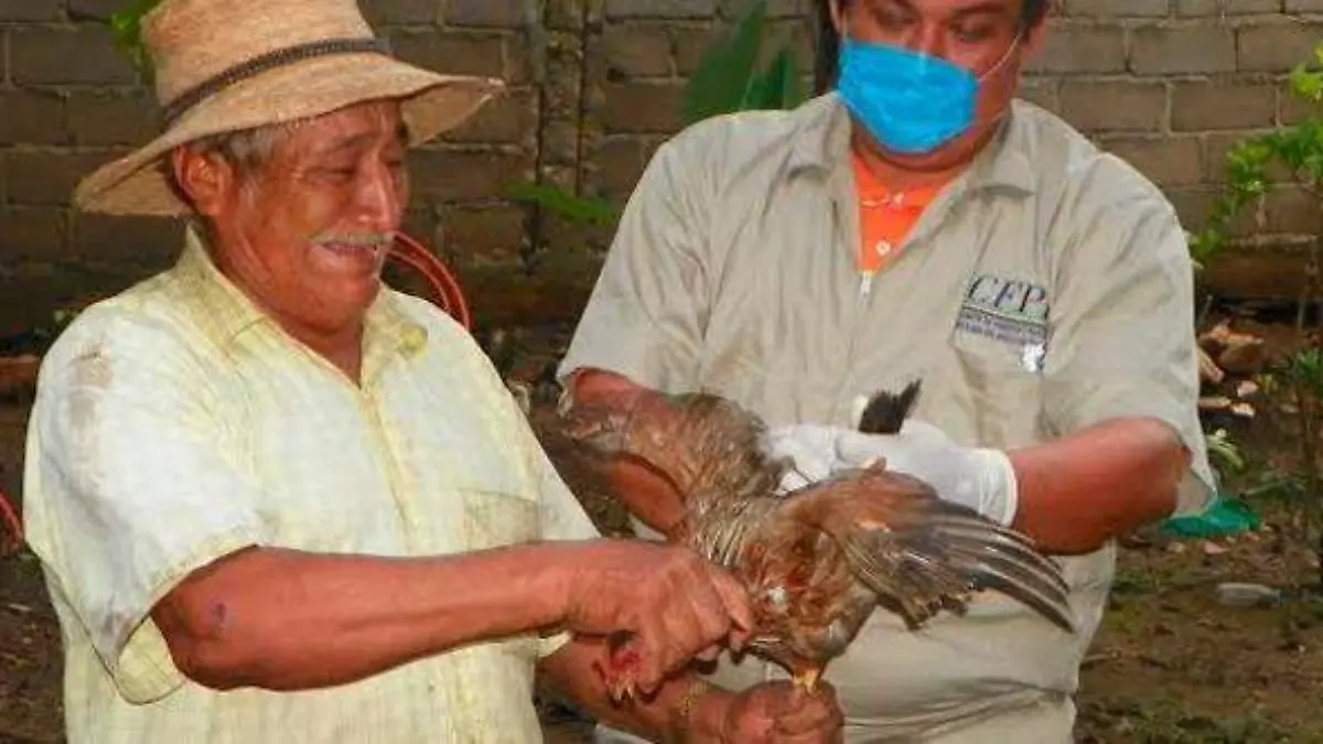 Vigilancia epidemiológica2